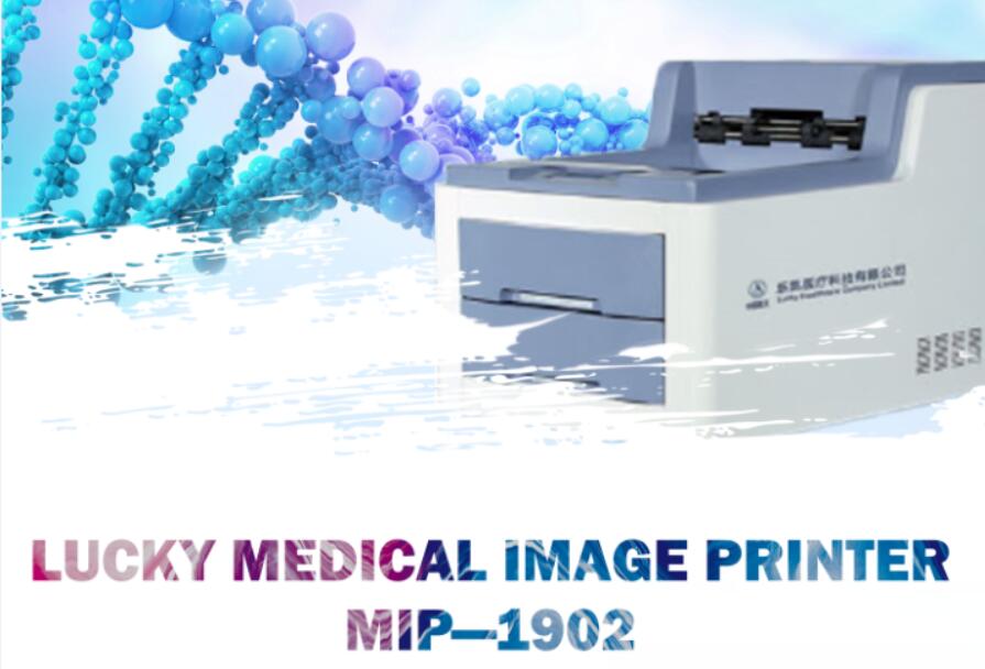 MIP-1902.jpg